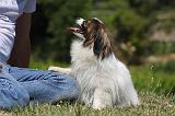 ADULTE ET CHIEN 248